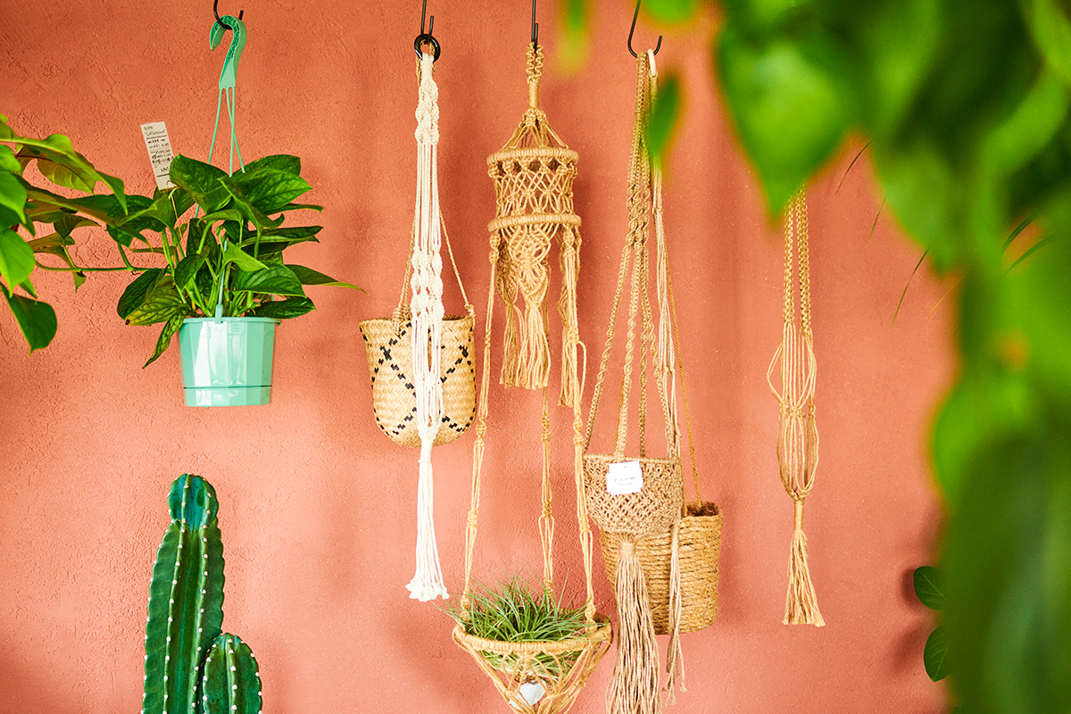 南国植物のある暮らし 店舗写真