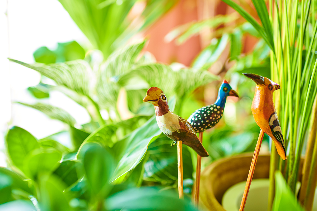 南国植物のある暮らし 店舗写真